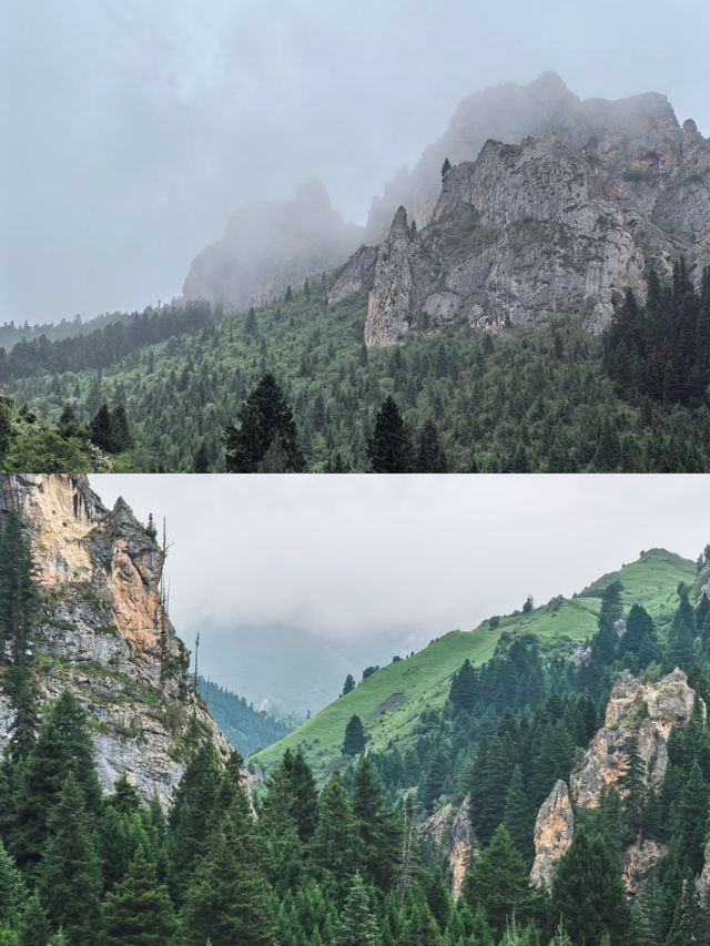 則岔石林,甘南的一顆璀璨明珠,等你來發現 則岔石林,甘南的一顆璀璨明珠,等你來發現