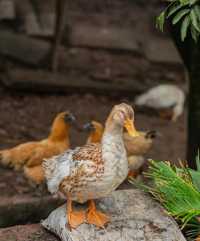 免費洗衣房專為奔波在外的你準備,鴻達酒店