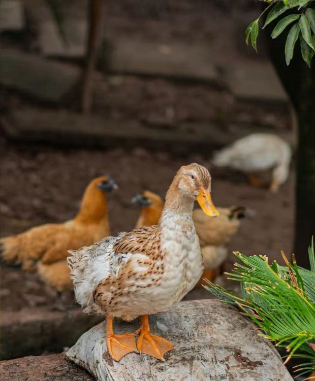 免費洗衣房專為奔波在外的你準備,鴻達酒店 免費洗衣房專為奔波在外的你準備,鴻達酒店