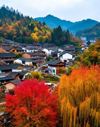 《내셔널 지오그래픽》이 선정한 ‘쓰촨에서 가장 아름다운 마을’ | ‘작은 카나스’ 같은 호수와 산의 풍경