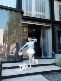 週末自駕莫干山帶毛孩子一起撒歡