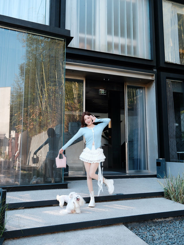 週末自駕莫干山帶毛孩子一起撒歡