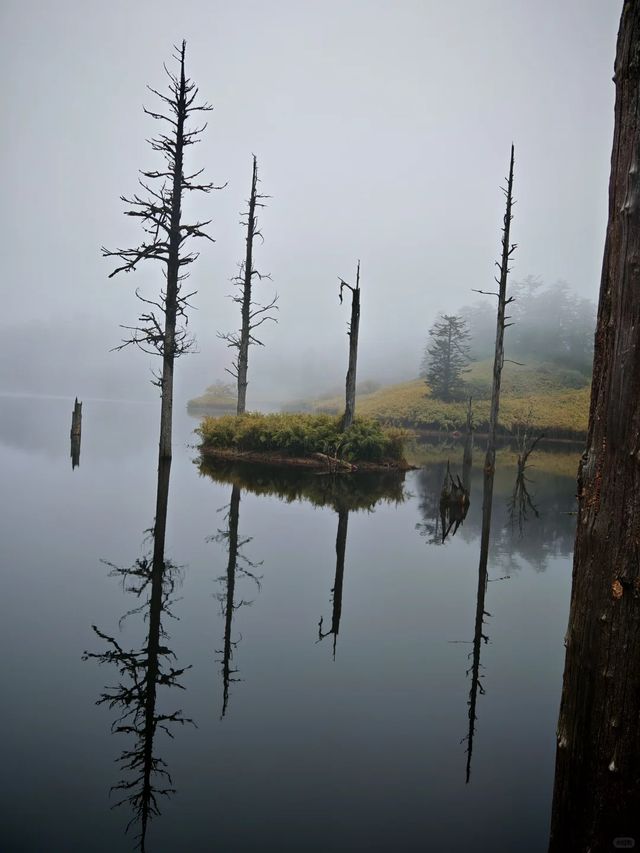 真的是被低估的瓦屋山