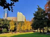 상하이 신홍교센터정원—도심 속 자연과 예술이 어우러진 꿈꾸는 섬