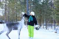 漠河三天兩晚極致尋北攻略：赴一場冰雪與星空的約會