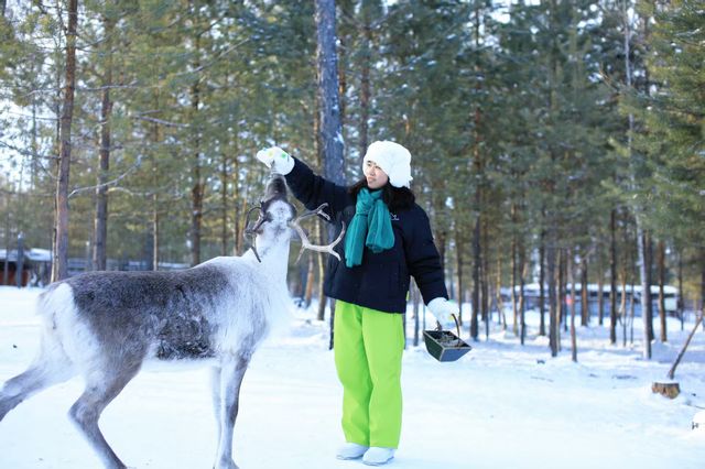 漠河三天兩晚極致尋北攻略：赴一場冰雪與星空的約會