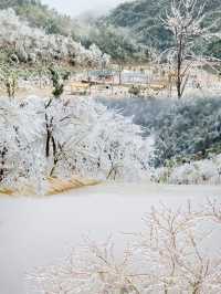韶關迎首場冰掛霧淞