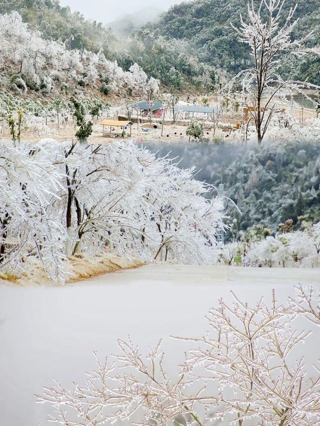 韶關迎首場冰掛霧淞