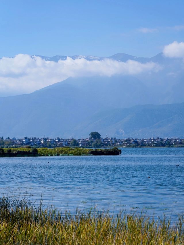 11月的大理，是打翻了的調色盤啊！附超全攻略