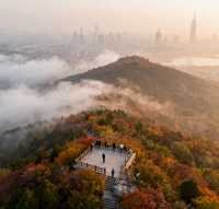 千佛山登高賞秋指南｜藏在城市裡的絕美秋色，錯過等一年！