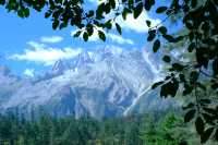 雲杉坪和藍月谷位於玉龍雪山景區遊玩攻略