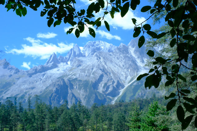 雲杉坪和藍月谷位於玉龍雪山景區遊玩攻略 雲杉坪和藍月谷位於玉龍雪山景區遊玩攻略