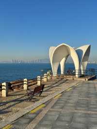 青島冬日海景封神!空無一人美到窒息