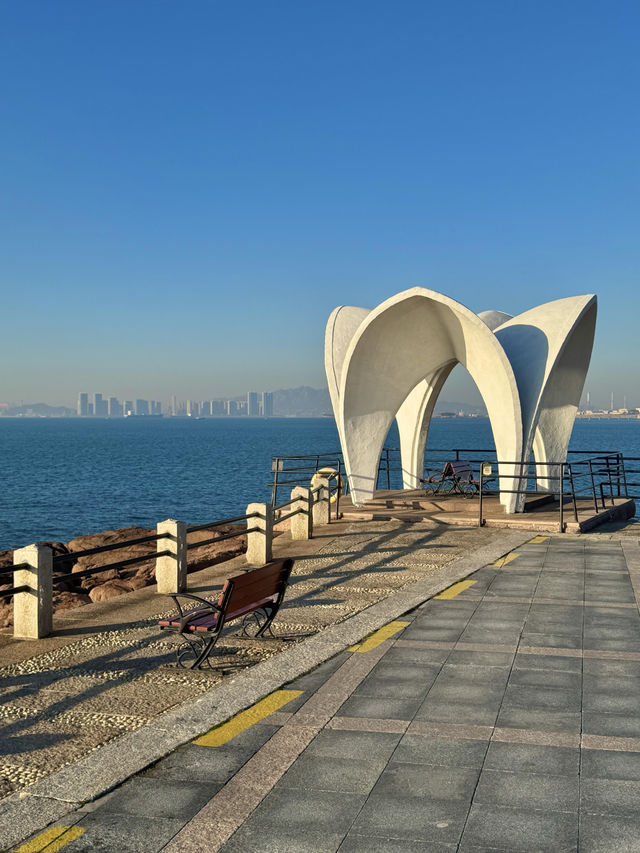 青島冬日海景封神!空無一人美到窒息 青島冬日海景封神!空無一人美到窒息