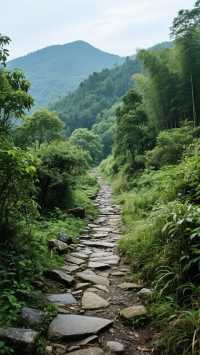 月亮之都深度純玩攻略