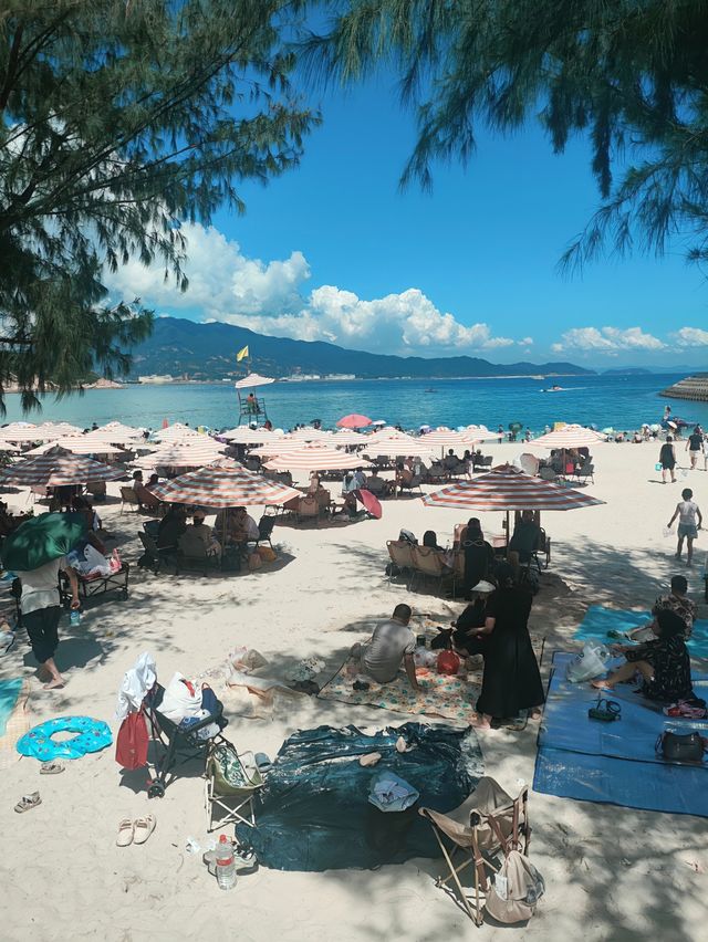 山海相擁的大鵬