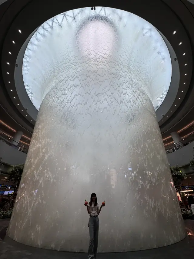 2小時打卡新加坡樟宜機場最佳路線!記得收藏