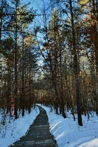 黑龍江受凍已回，真心建議大家…