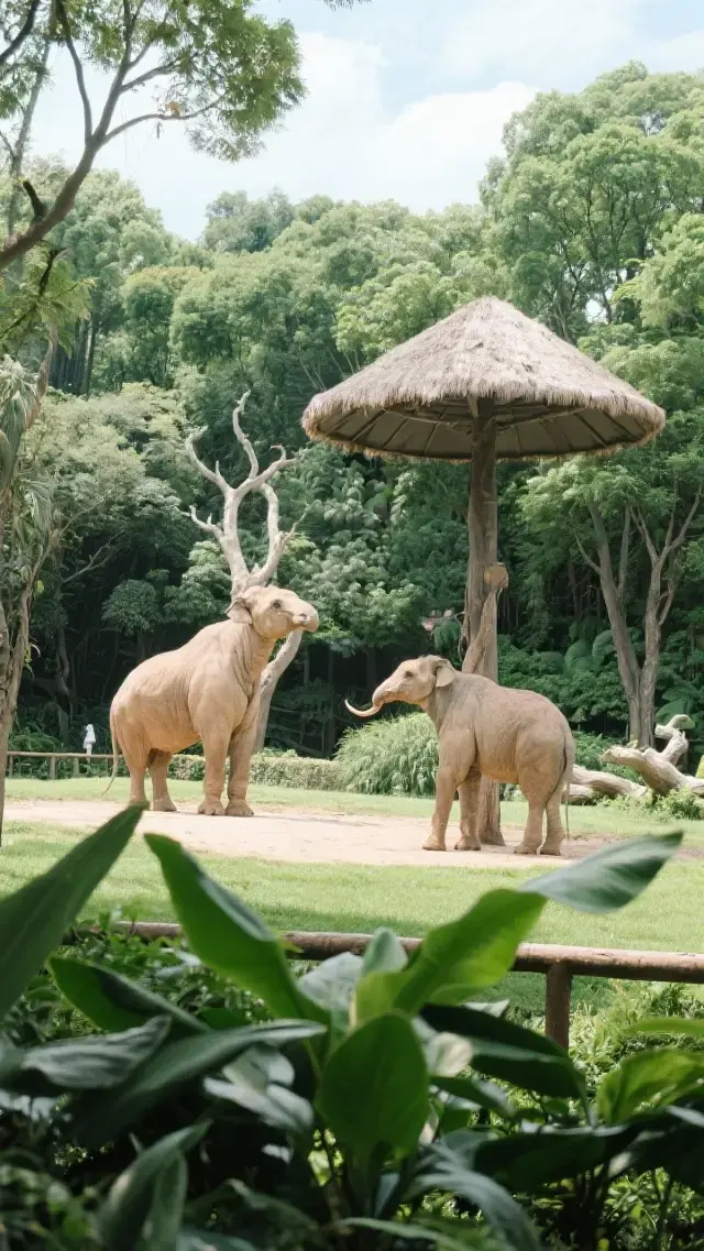廣州長隆野生動物世界｜30週年慶典·限時優惠狂歡全攻略