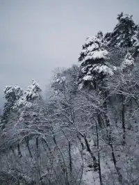 雪落終南｜南五臺初雪徒步攻略 美到窒息