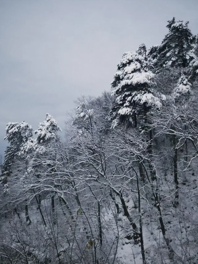 雪落終南｜南五臺初雪徒步攻略 美到窒息