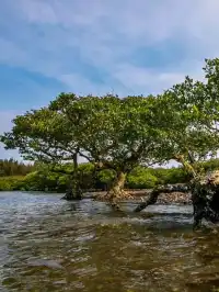 大灣區駕勢遊|探秘中國大陸最南端