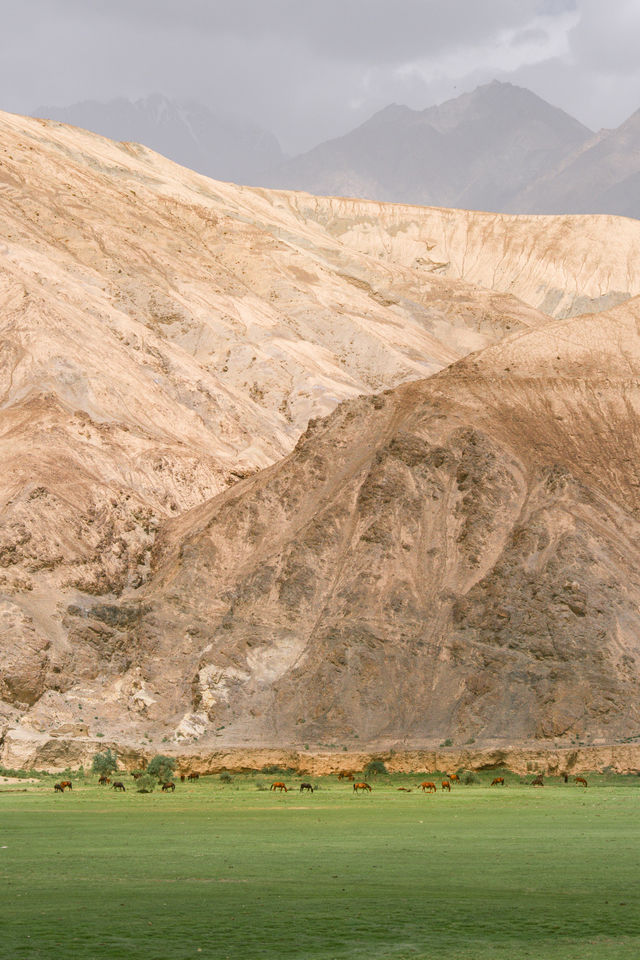 七天,從喀什古城的黃昏到慕士塔格的雪線 七天,從喀什古城的黃昏到慕士塔格的雪線