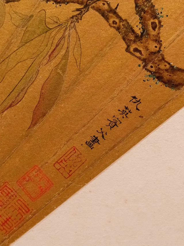 為了欣賞它，值得一去再去