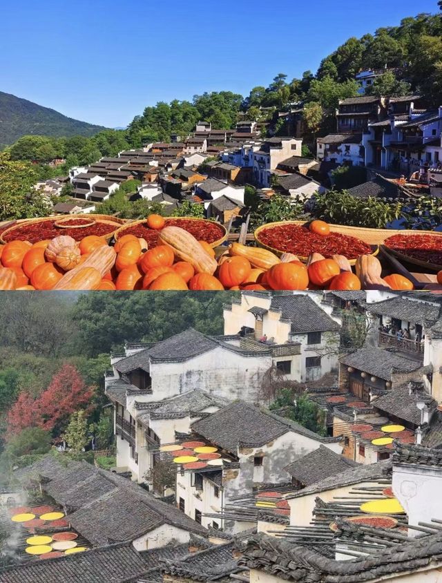 三清山2天極簡攻略