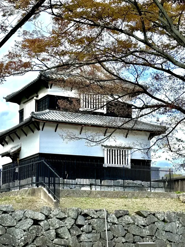 在福岡城跡，看時間一層層疊起來