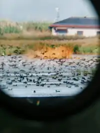 打卡魔都規劃展示館，城市夢工廠