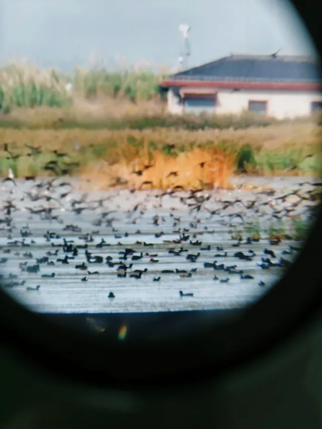 打卡魔都規劃展示館，城市夢工廠
