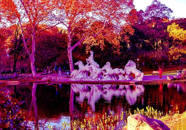 斑斕調色盤,律動生活詩--武漢解放公園秋色 斑斕調色盤,律動生活詩--武漢解放公園秋色