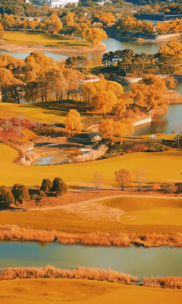 金秋童話裡的浪漫地