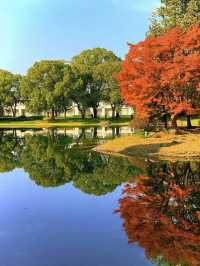 別擠瑞金!東郊賓館藏秋日秘境 免費好拍人超少