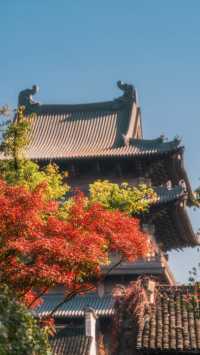 全屏封神 | 理想的秋天,就該這樣熱烈