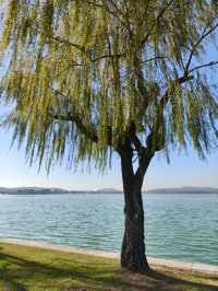 無錫6公里油畫輕徒步路線