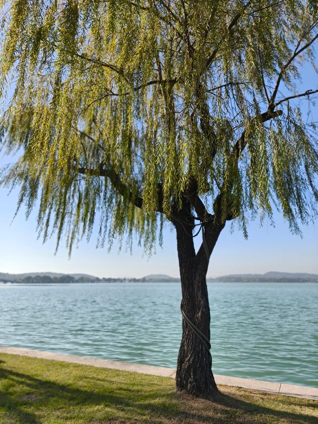 無錫6公里油畫輕徒步路線