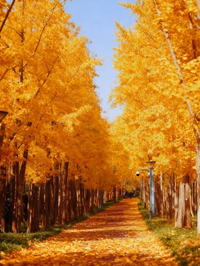 上海發布認證 已達巔峰值 相當炸裂