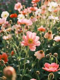 12月親子拍照！留住童年的浪漫瞬間