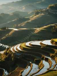 雲和梯田親子慢遊!無車版秋日田園攻略