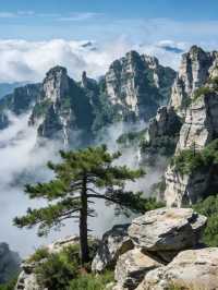 白石山夏季和冬季不同季節的不同風光