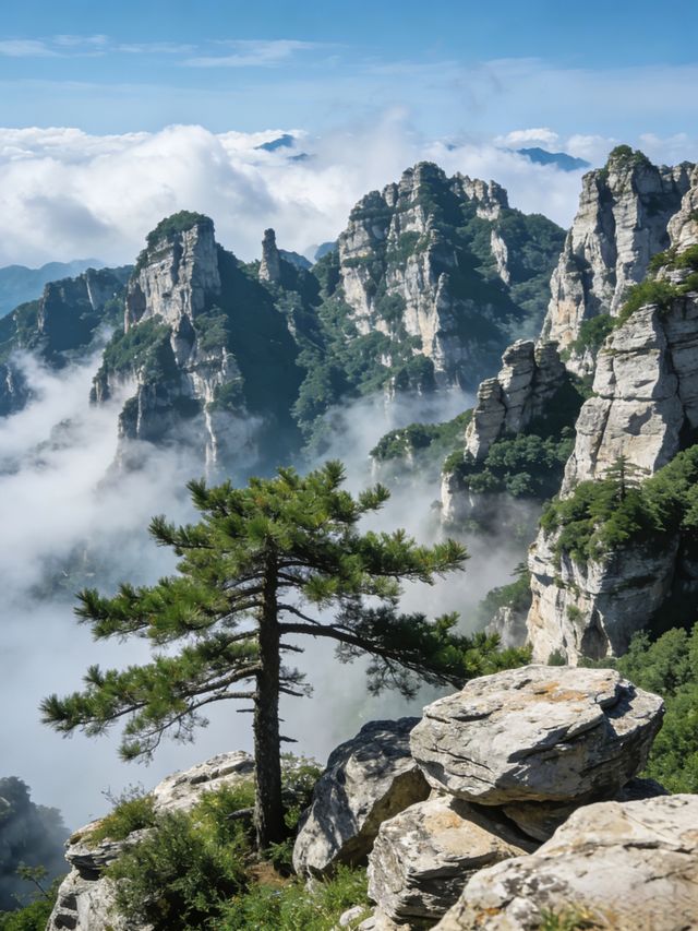 白石山夏季和冬季不同季節的不同風光