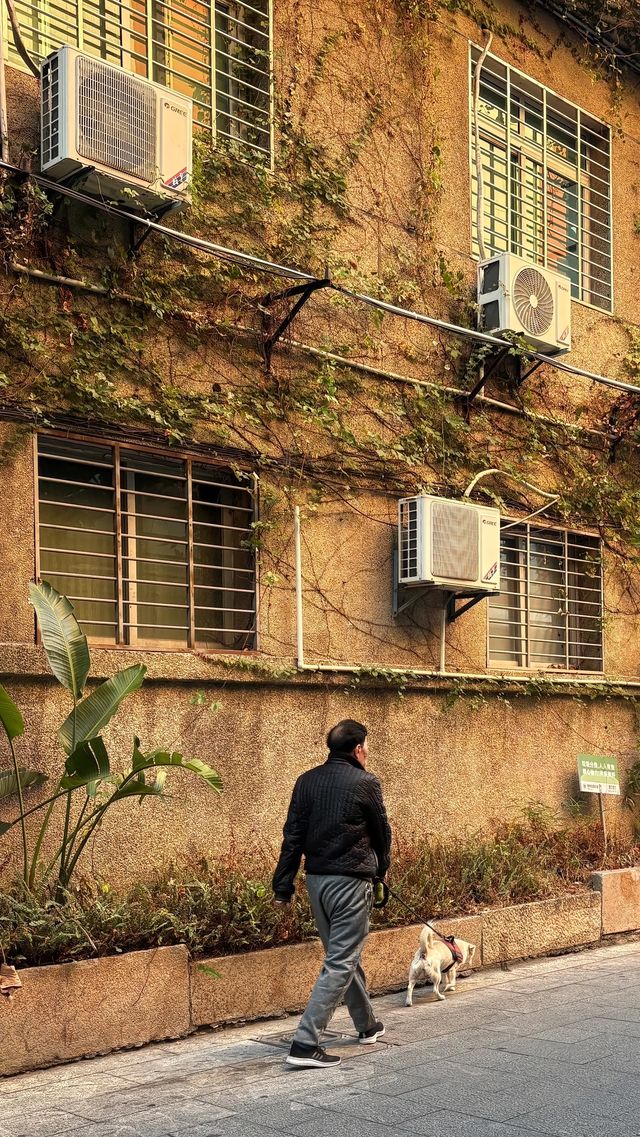 淡季的泉州也太chill了吧古城漫步全攻略 淡季的泉州也太chill了吧古城漫步全攻略