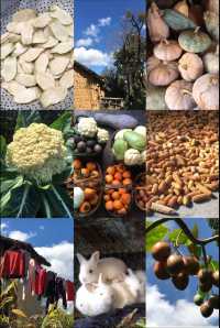 西北環線躺平首選希岸智享酒店太舒適啦