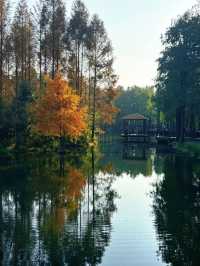 歡迎來旅遊打卡