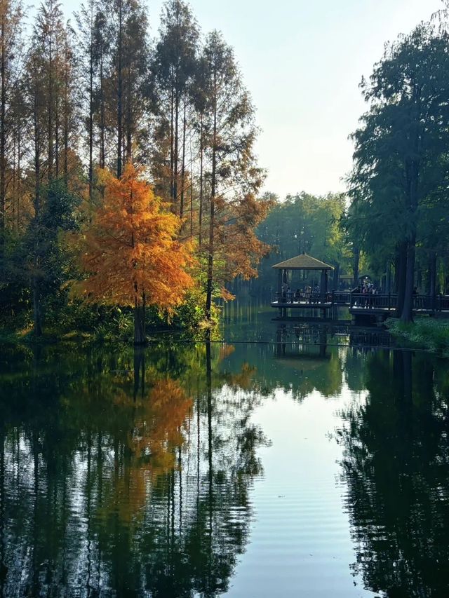 歡迎來旅遊打卡 歡迎來旅遊打卡