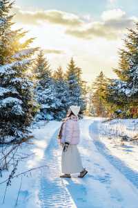 人生建議一定要感受一次長白山的冬日童話