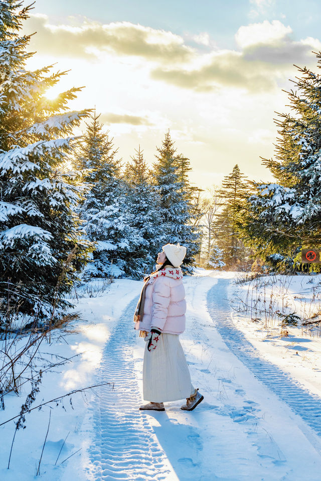 人生建議一定要感受一次長白山的冬日童話