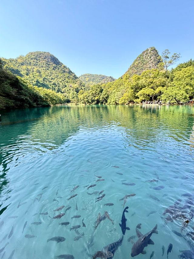 柳州寶藏公園——龍潭公園 柳州寶藏公園——龍潭公園